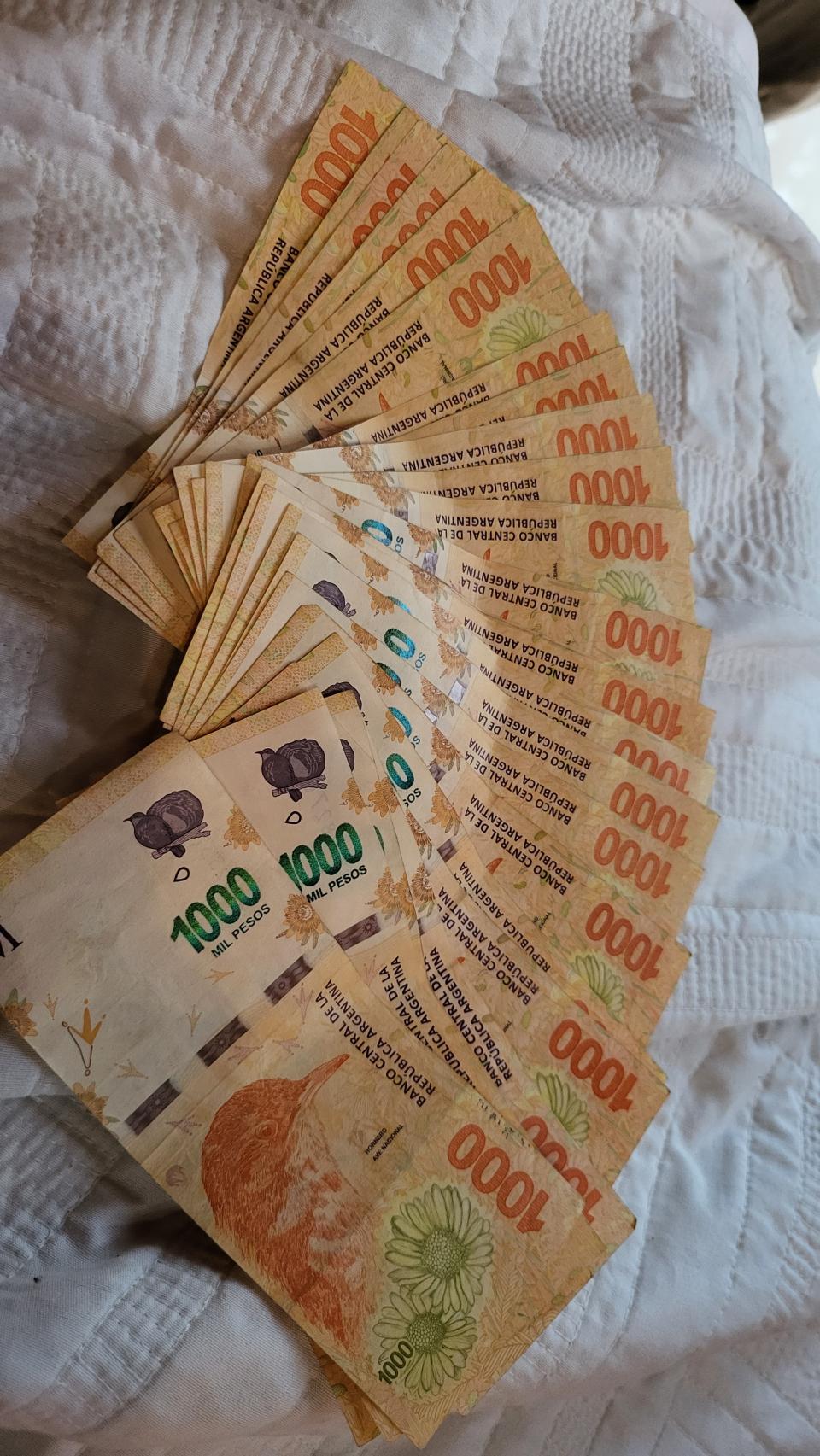 南美之旅(4) 藍色美元官方都被迫承認的黑市匯率- U Blog