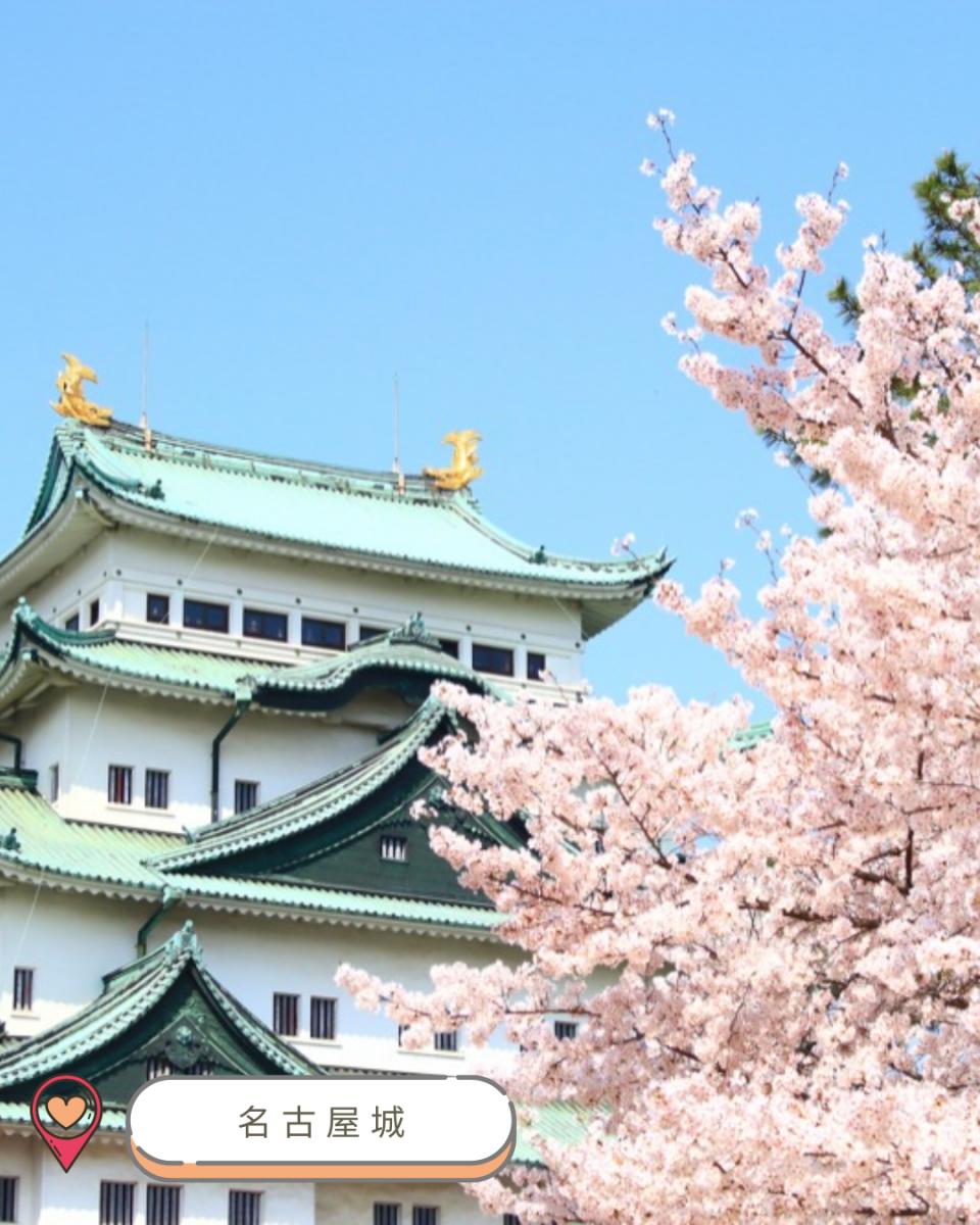【#思思賢嘆世界】2025中部賞櫻攻略！ 最新開花預測＆必訪