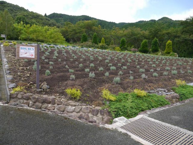 東瀛吃買玩開心share 蒜山高原多元化體驗 品嚐岡山特式美食 U Blog