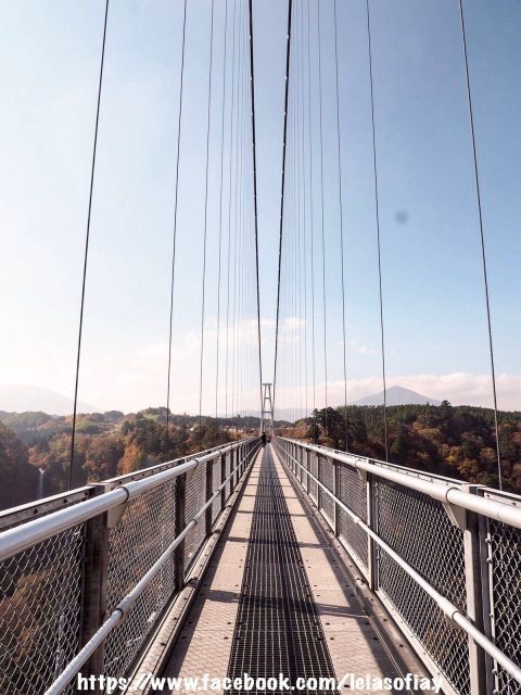 大分県 自駕好好玩 九重町 中津市 日田市 U Blog