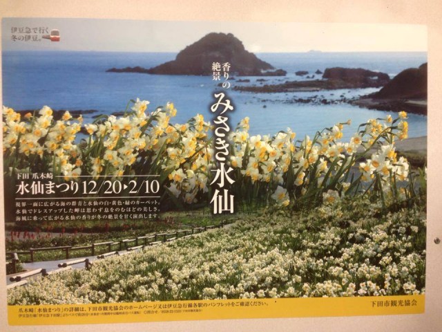 初春限定 東京近郊 伊豆の太平洋海岸 水仙花海之旅 U Blog