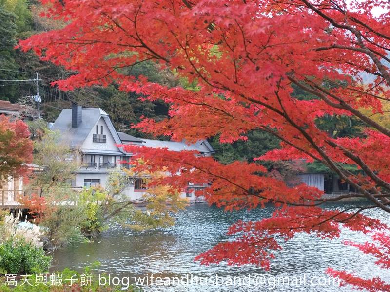 遊日本九州 由布院金鱗湖賞紅葉 U Blog