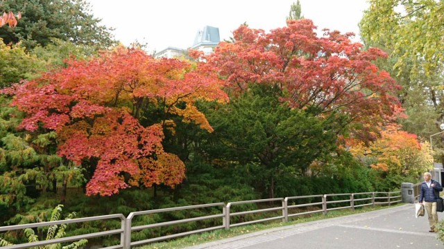 廣東歌遊記 北海道中島公園x 紅葉斜落我心寂寞時 U Blog