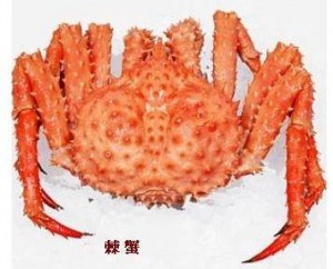 帝王蟹 鱈場蟹 U Blog