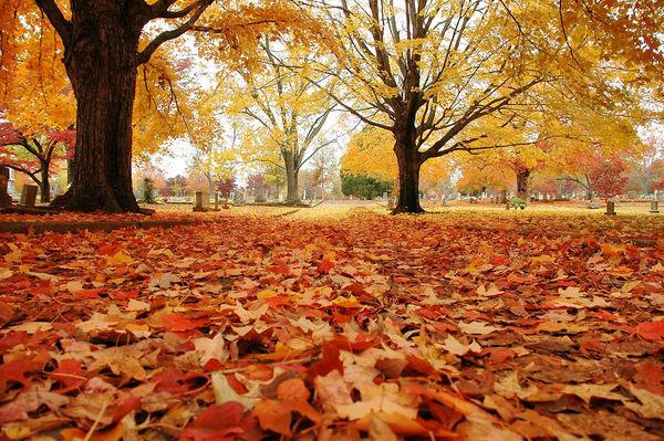 立秋後3個養生注意事項 立秋後3個養生注意事項