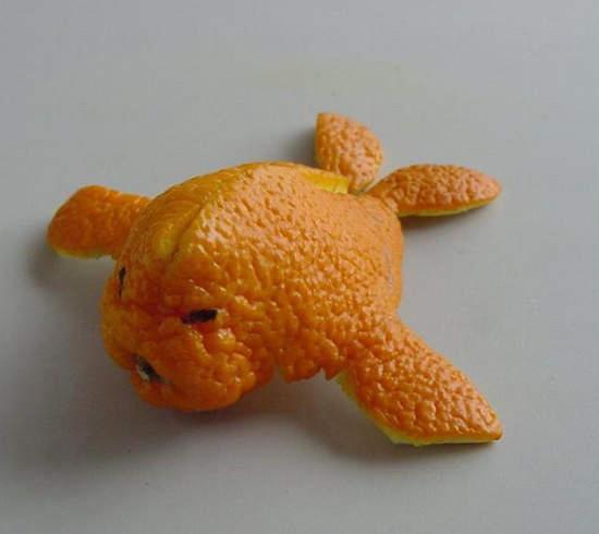 ササ橘子皮藝術 ササ橘子皮藝術