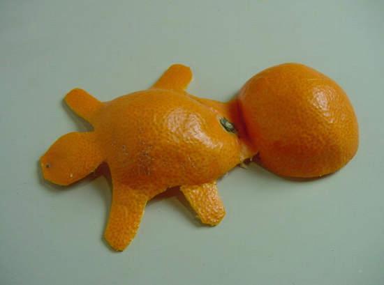 ササ橘子皮藝術 ササ橘子皮藝術