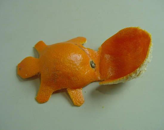 ササ橘子皮藝術 ササ橘子皮藝術