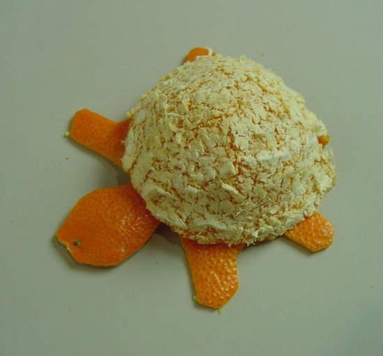 ササ橘子皮藝術 ササ橘子皮藝術