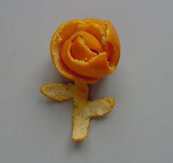 ササ橘子皮藝術 ササ橘子皮藝術