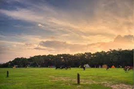 西貢灣仔西營地 西貢灣仔西營地