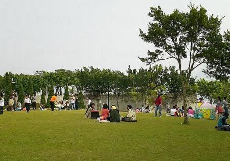 大埔海濱公園 大埔海濱公園