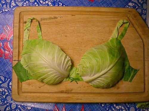 豐胸必吃的6種食物 豐胸必吃的6種食物