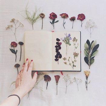 將美麗永久保存 教您diy永不凋謝的押花品 U Beauty 美容網站