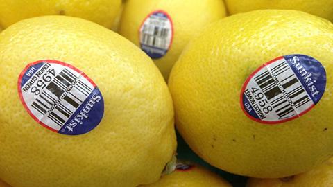 睇數字揀靚水果 拆解標籤數字的秘密 睇數字揀靚水果 拆解標籤數字的秘密