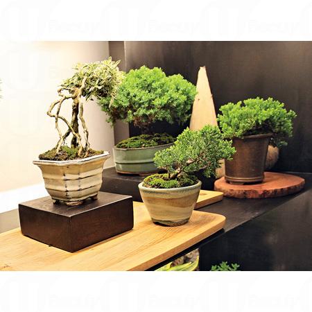 拆卸 5 年的舊灣仔街市大樓終於以新面目出現,昔日由數十小攤檔組成的街市,今天的主人家變成家具店 OVO,在這座三級歷史建築內同時開設了 OVOStudio、OVOGarden 及 OVOCafe 三間不同系列的新店,變成一站式的家品購物體驗和綠色飲食享受。 拆卸 5 年的舊灣仔街市大樓終於以新面目出現,昔日由數十小攤檔組成的街市,今天的主人家變成家具店 OVO,在這座三級歷史建築內同時開設了 OVOStudio、OVOGarden 及 OVOCafe 三間不同系列的新店,變成一站式的家品購物體驗和綠色飲食享受。