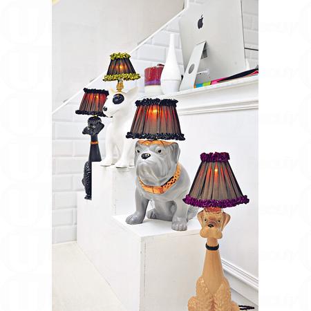 太平山街 A.Style 店中除了主打 3 位設計師的作品外,也引進了其他品牌的小型家品,如這系列以不同品種狗狗設計而成的枱燈。($4,040) 太平山街 A.Style 店中除了主打 3 位設計師的作品外,也引進了其他品牌的小型家品,如這系列以不同品種狗狗設計而成的枱燈。($4,040)