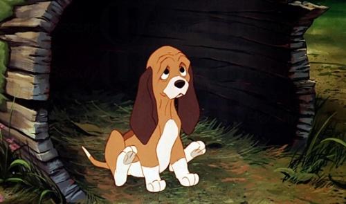 超可愛!迪士尼選出10大可愛狗狗角色 超可愛!迪士尼選出10大可愛狗狗角色