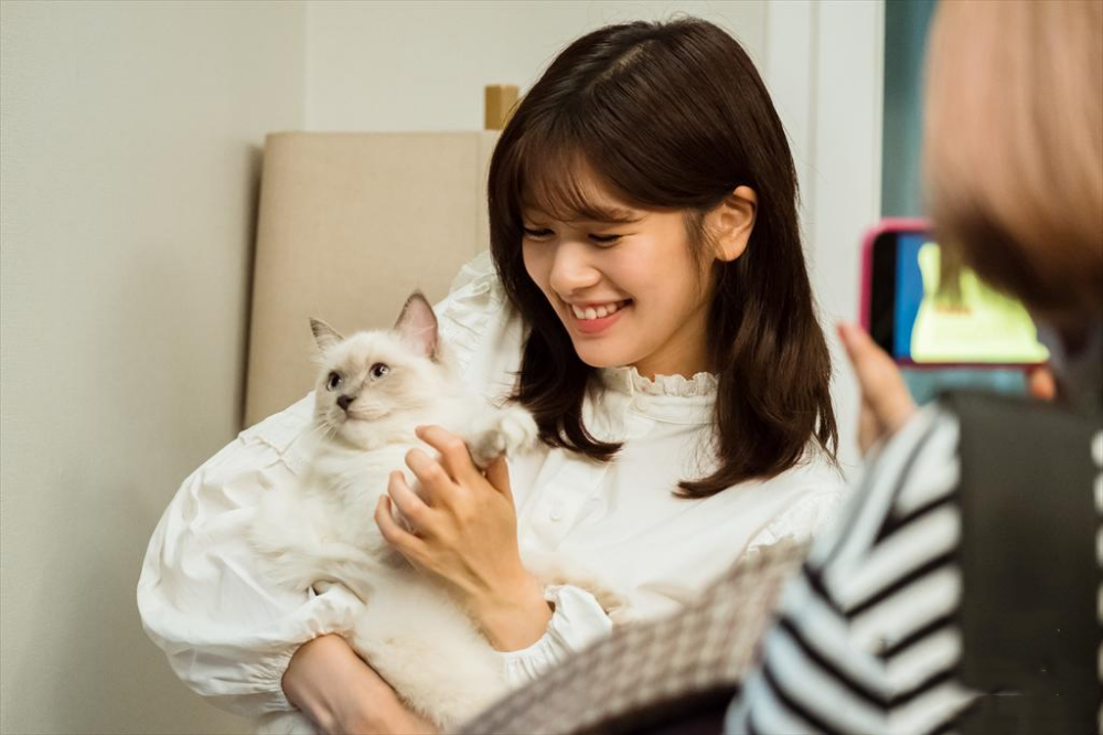 同居男友不喜歡貓要求分床睡！貓奴女友崩潰求救：寵物和男友選哪個？網友意見兩極！