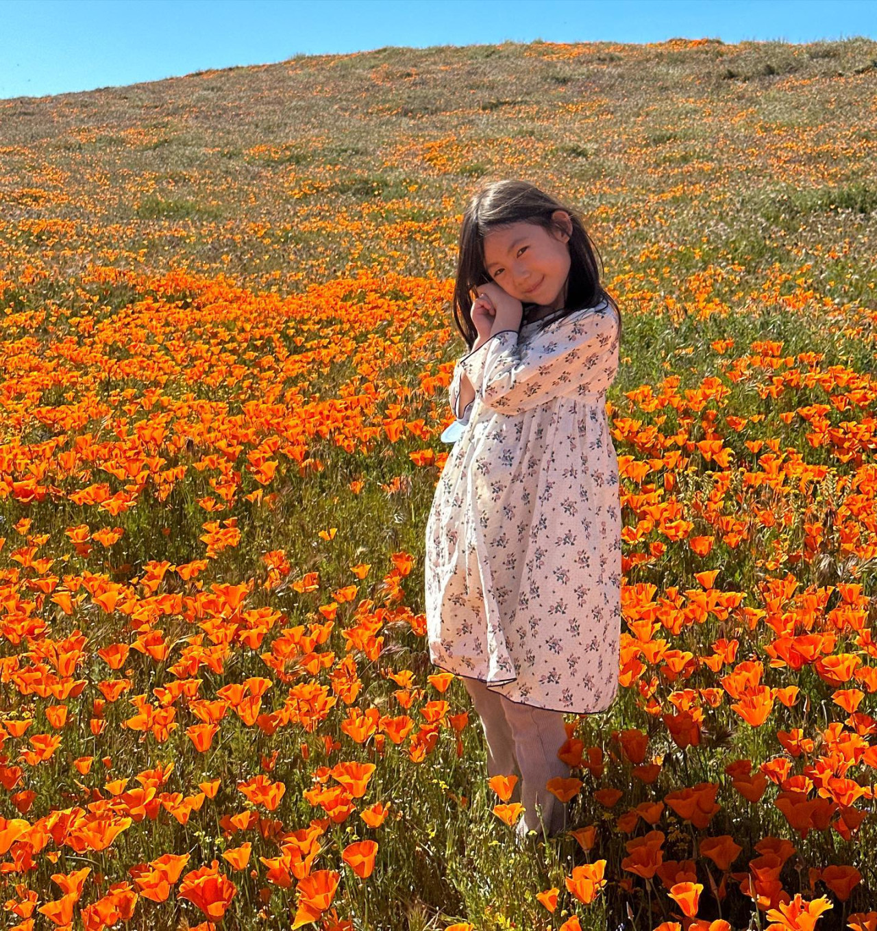 陳冠希囡囡Alaia近照亭亭玉立！橙色花海打卡少女味濃！遺傳媽媽模特兒基因！