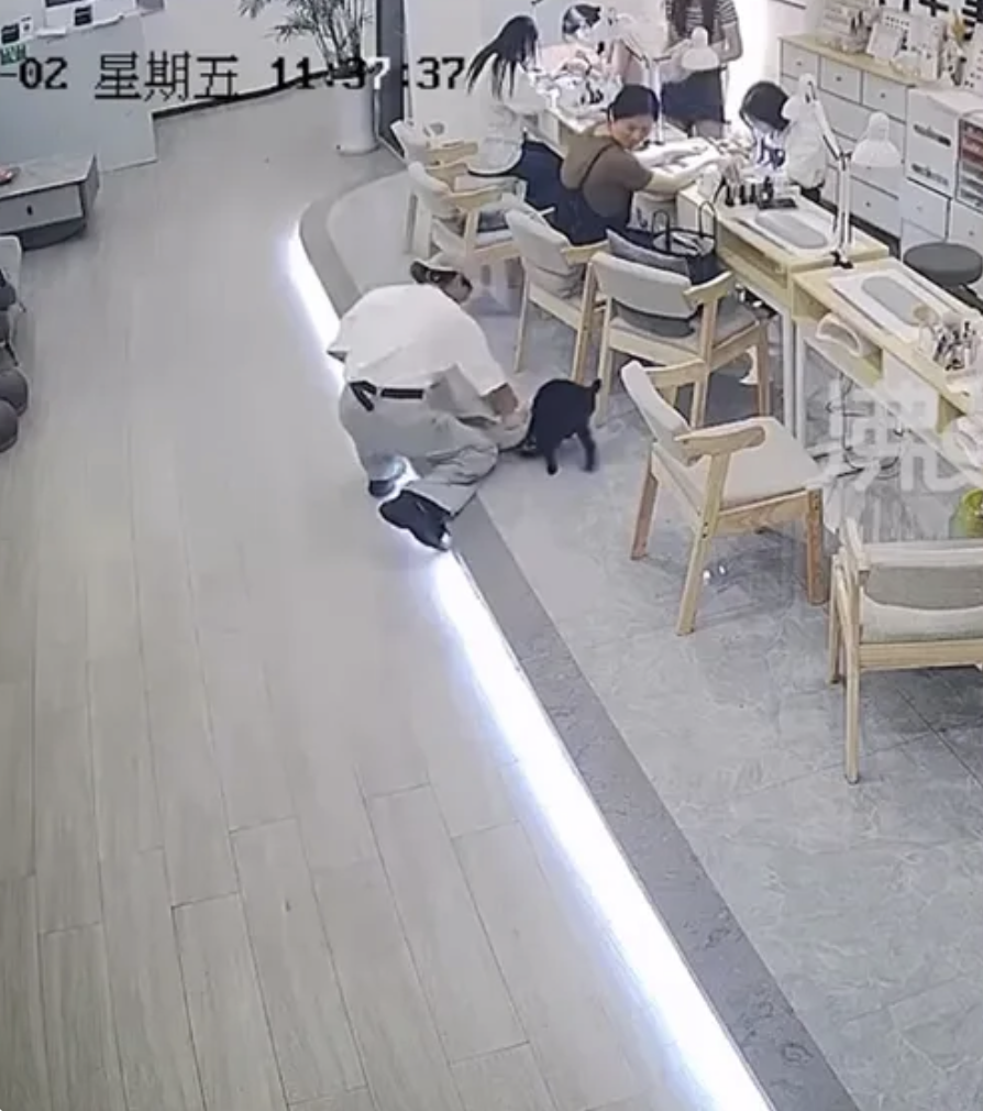 男子因心儀女生「一句話」竟撻死狗狗！店內員工無反應如常工作！網民：永不光顧！