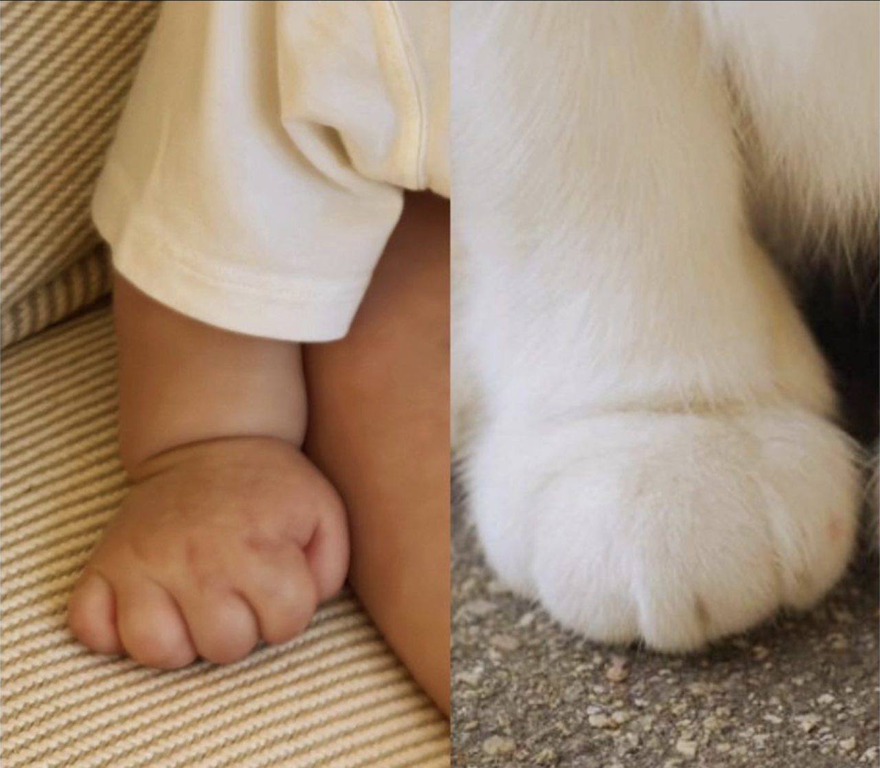 孫藝珍首次公開「小甜豆」肉手！以貓爪做對比融化千萬粉絲！期待下次曝光正臉照！