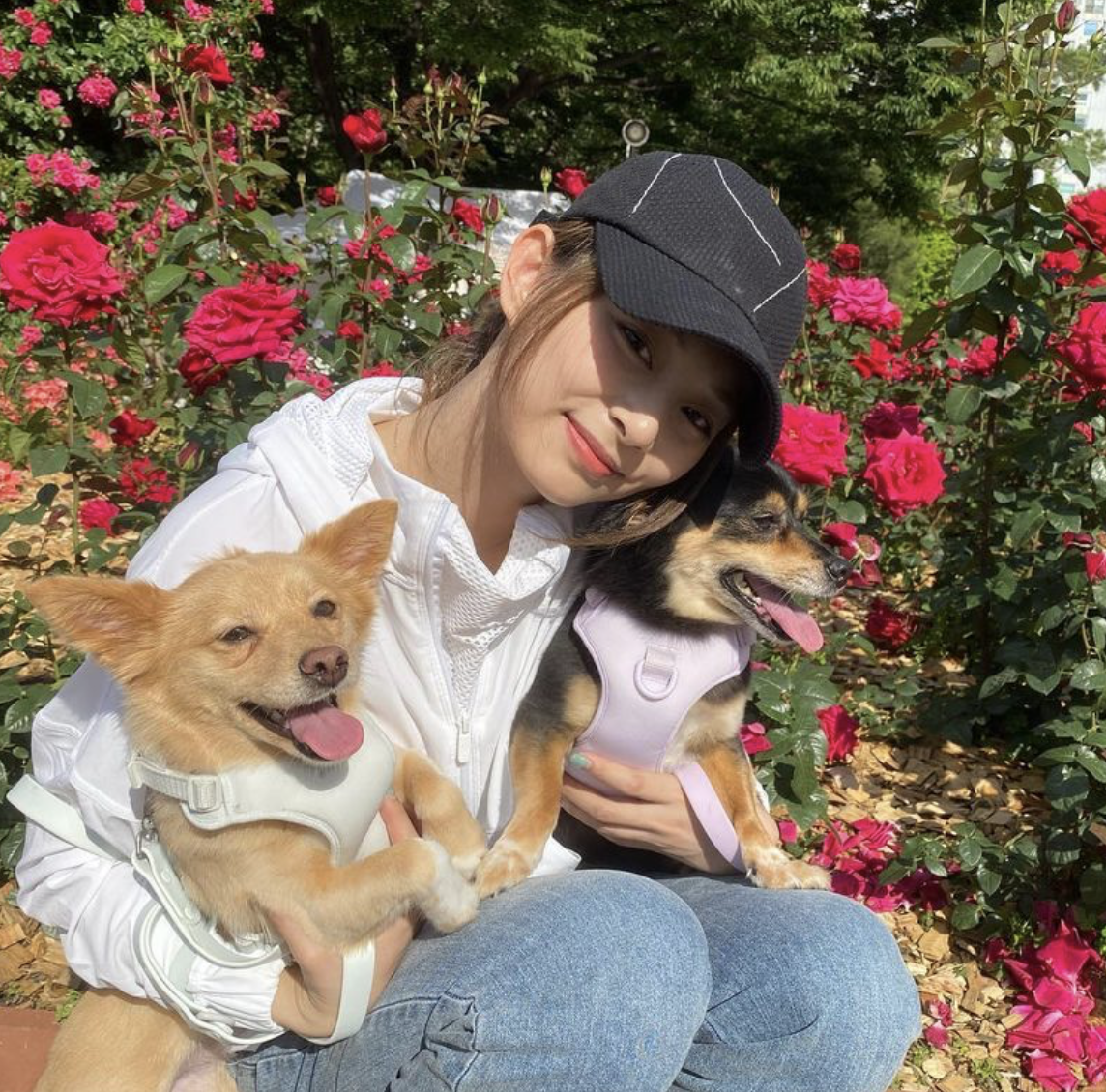 周子瑜疑秘戀SEVENTEEN一成員！抱狗合照中「1亮點」！網民：「是不是偷偷出去約會？」