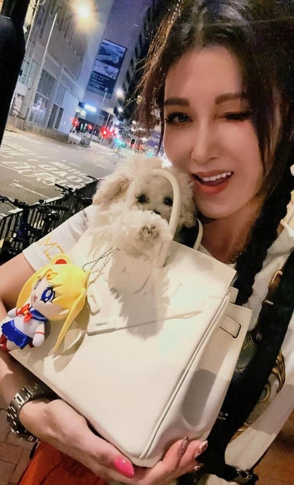李彩華用40萬Hermès手袋裝愛犬！網民焦點放於「極精緻五官」！竟撞樣溫碧霞？