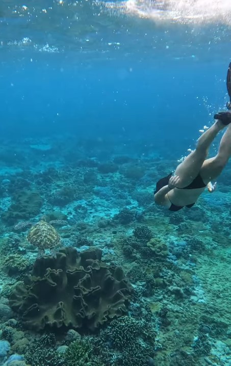 43歲樂基兒水底浮潛身型超靚！網民大讚零贅肉：美人魚一樣！