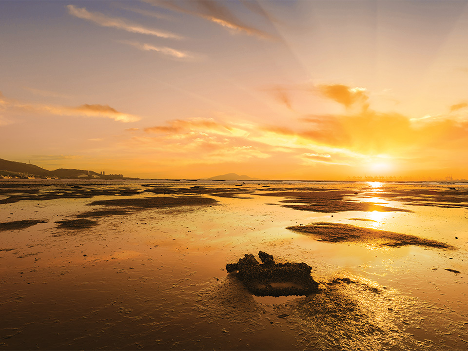 香港情侶活動｜12+拍拖活動/免費約會拍拖提案推薦 郊遊打卡/工作坊