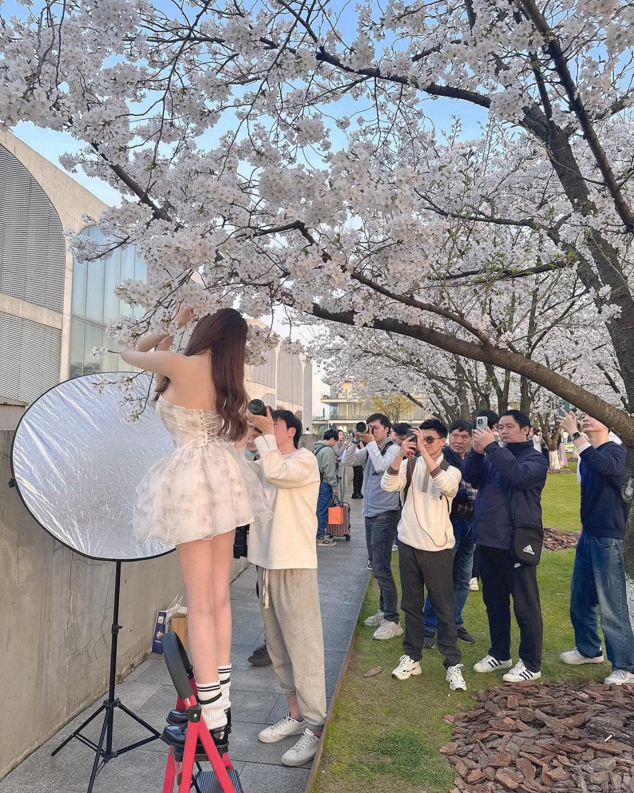 陳冠希舊愛Cammi近鏡再度改頭換面！最新版本進化「木偶鼻」不同了！