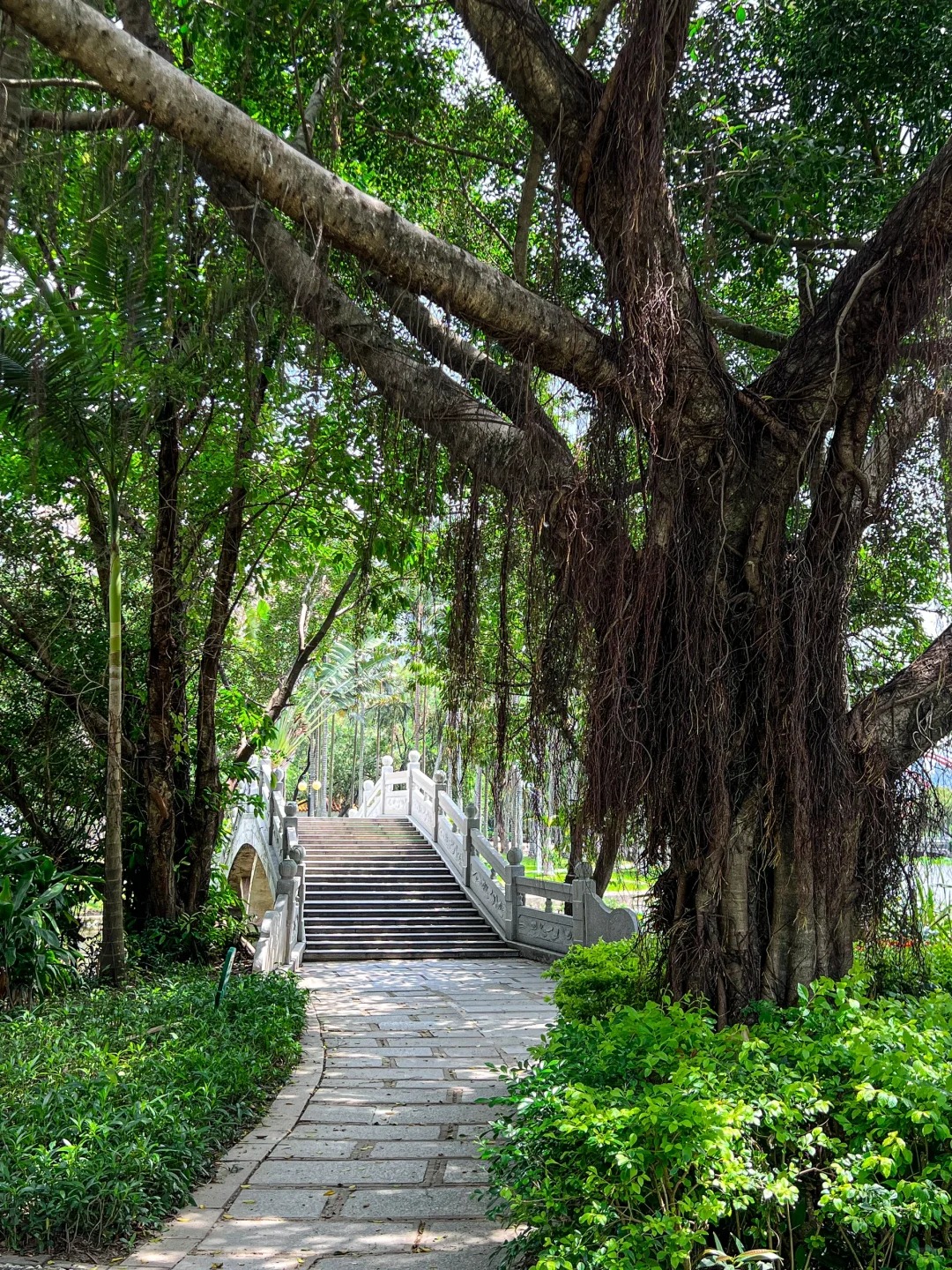 羅湖好去處｜逾10大人氣羅湖景點推介 附近大型商場/打卡植物園/按摩Spa | U Travel