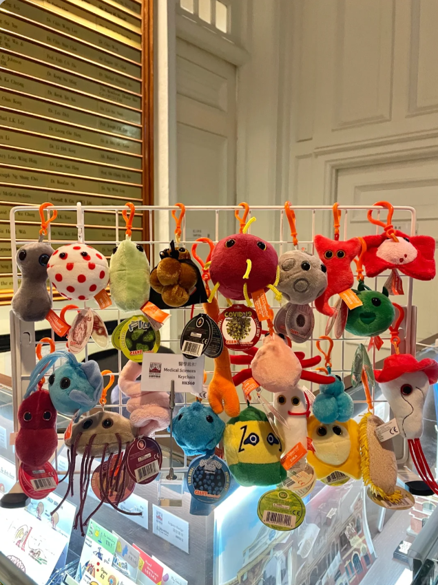 香港醫學博物館聖誕限定公仔！聖誕子宮/雪花紅細胞/聖誕皰疹！附開放時間/前往方法/門票價格 | UHK 港生活