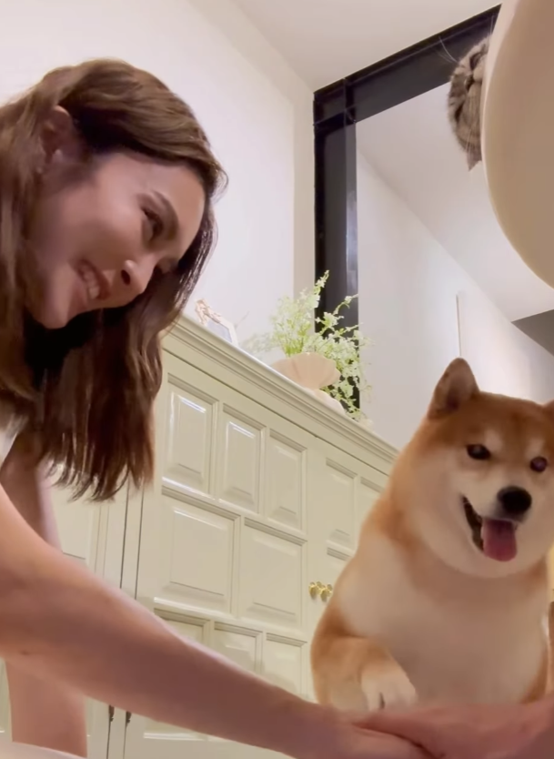 張曦雯挑戰寵物疊手慘被食檸檬？！狗狗合作VS貓咪擰頭