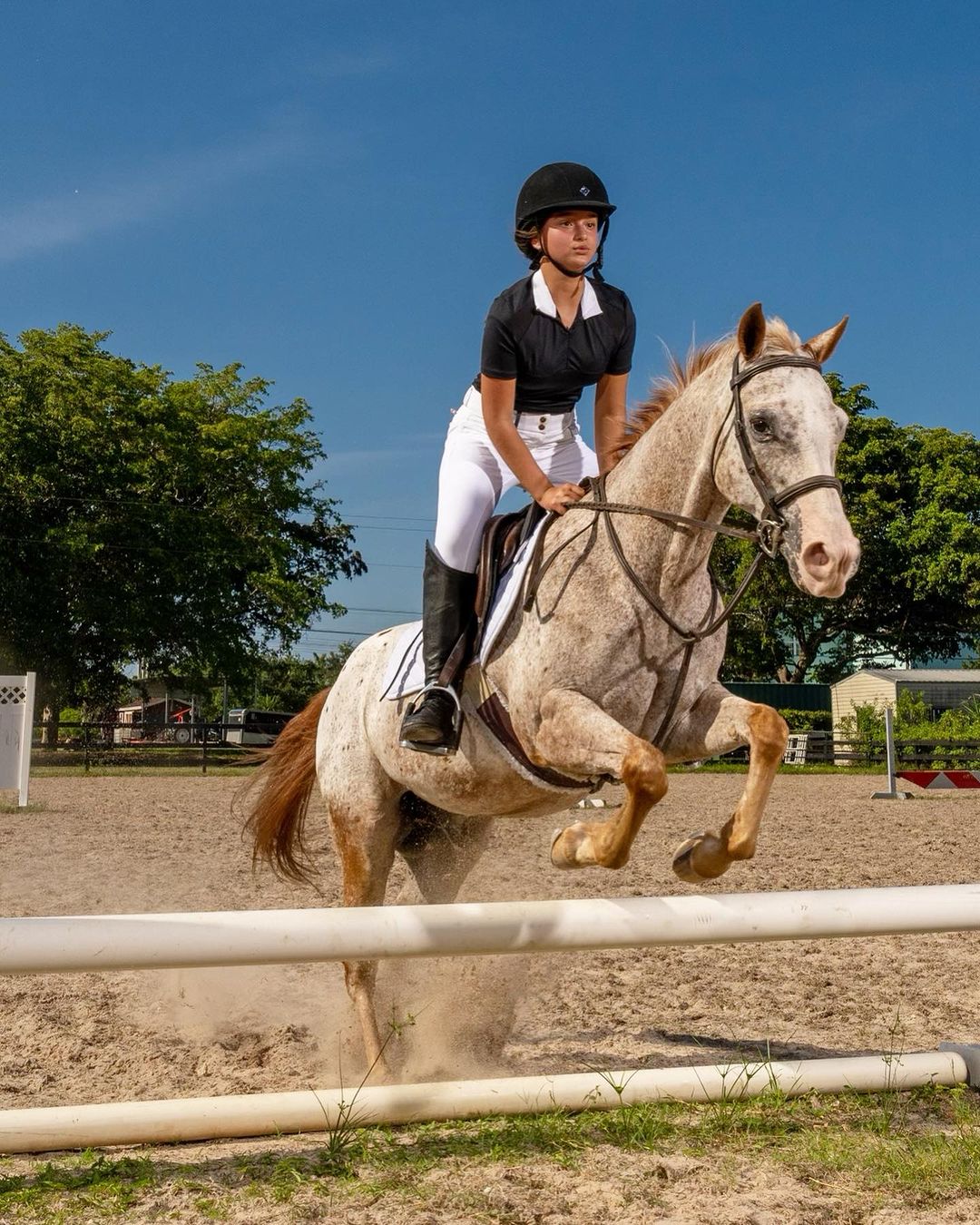 特朗普13歲孫女Arabella超狂背景曝光！樣子甜美似芭比、流利中文識背唐詩！