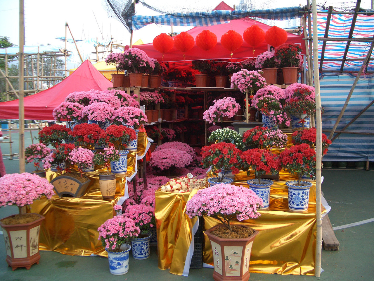 沙田年宵花市2025|71個攤位地圖、開放時間、地址交通詳情 | UHK 港生活