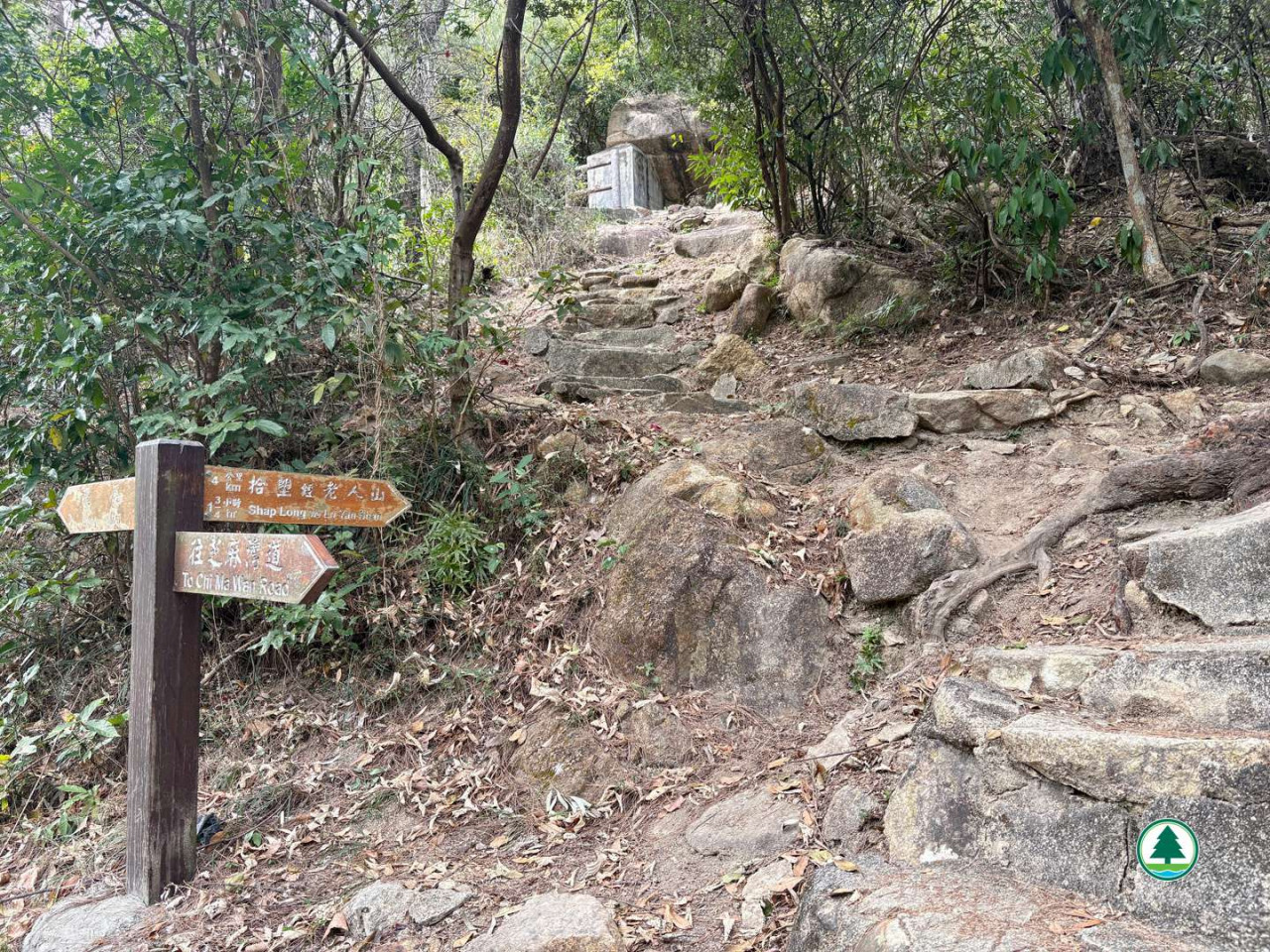 大嶼山行山路線推介！芝麻灣郊遊徑2種行法：中等難度10公里精華遊 | UHK 港生活