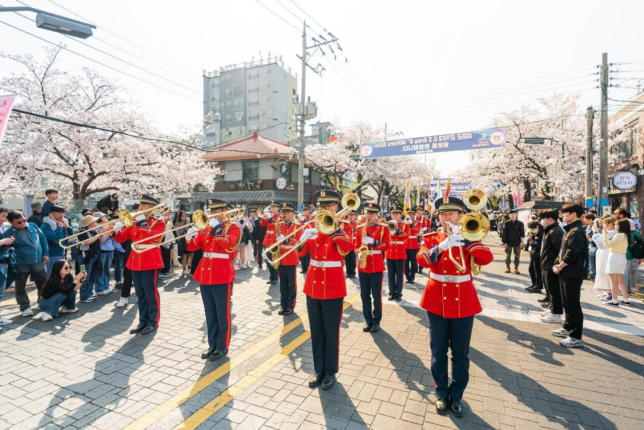 鎮海櫻花2025|鎮海軍港節一日遊 交通攻略+5大賞櫻景點推介!附花期預測 | U Travel