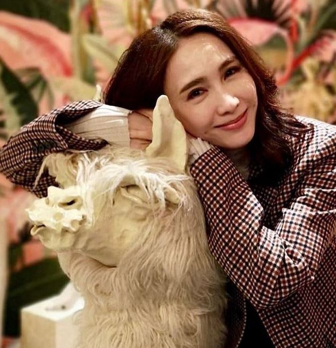 美貌與智慧並重！盤點演藝圈4位商界女強人 