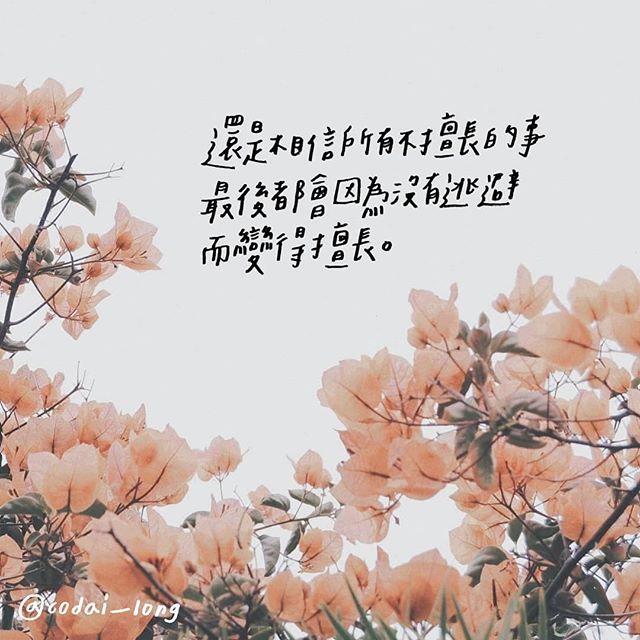 「沒有哪條路最適合你走，只有哪條路你最不願錯過。」成長要學懂的說話！超過30張唯美金句Wallpaper！