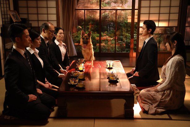 8套深田恭子新劇穿搭！貴氣千金風！提升好感度！約會、見家長穿搭範本！