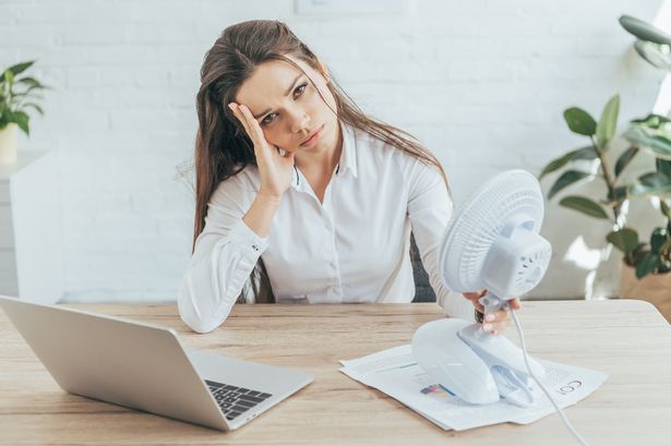 手腳冰冷、易水腫原來是「冷氣病」作怪！中醫推介4款沖焗養生茶 10分鐘飲得！