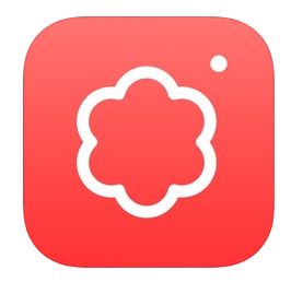 【APP推介】面對鏡頭不再尷尬！2款免費下載APP！簡單教你擺出自然情侶、閨密pose！