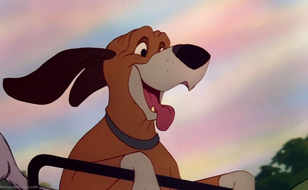 迪士尼狗狗角色十二星座配對圖！你是哪個角色？布魯托、小姐與流氓！