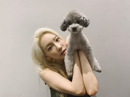 【漂髮】太妍長期漂髮致頭髮嚴重斷掉！女Idol靠假髮片維持「假長髮」！？