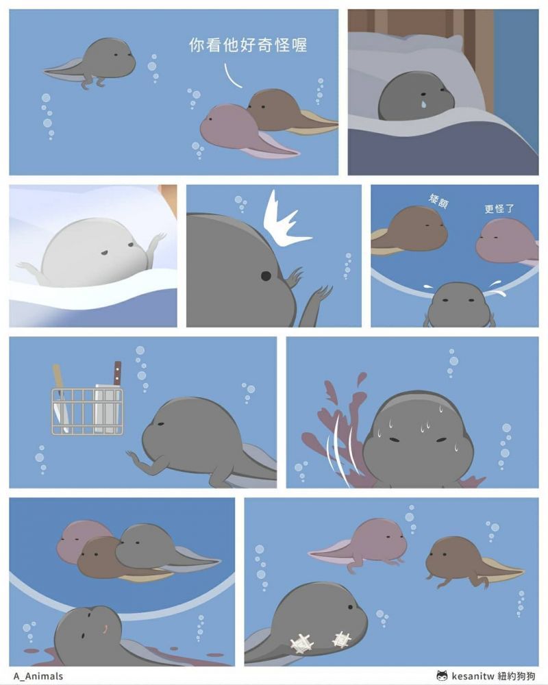 【成長插畫】令人反思的動物插畫！10件長大了才有共鳴的事！你能明白每張背後涵義嗎？