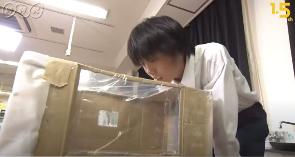 日本節目實驗示範超有效防蚊方法！研究惹蚊原因！成本低又簡單、出門前這樣做！