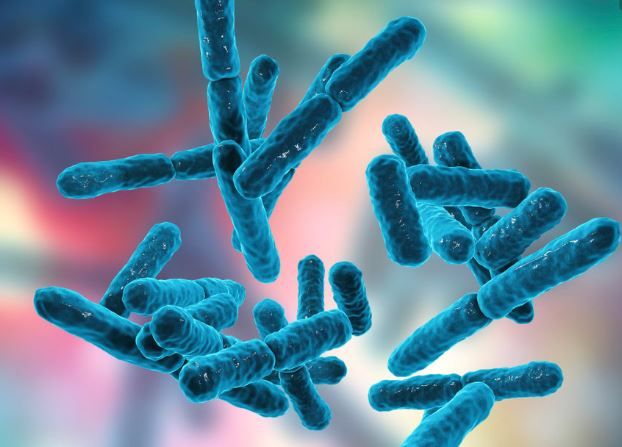 【益生菌】盤點益生菌的5大好處+食物推薦！減肥、維持腸道&陰部健康！