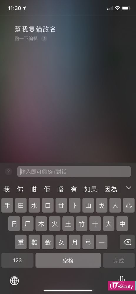 iPhone Siri幫貓狗改名成網絡熱話！意想不到結果讓人爆笑！小編為大家實測結果！