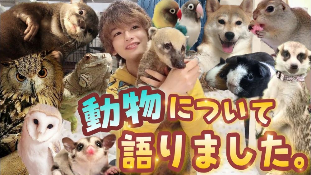 【網絡熱話】日本男生月花120萬日元養160隻寵物！狐獴/土撥鼠都有！背後原因藏恐怖經歷！